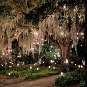 🌳🦌Enchanted Forest Vibes Spanish Moss ,Wedding Decor, Witchy aesthetics …